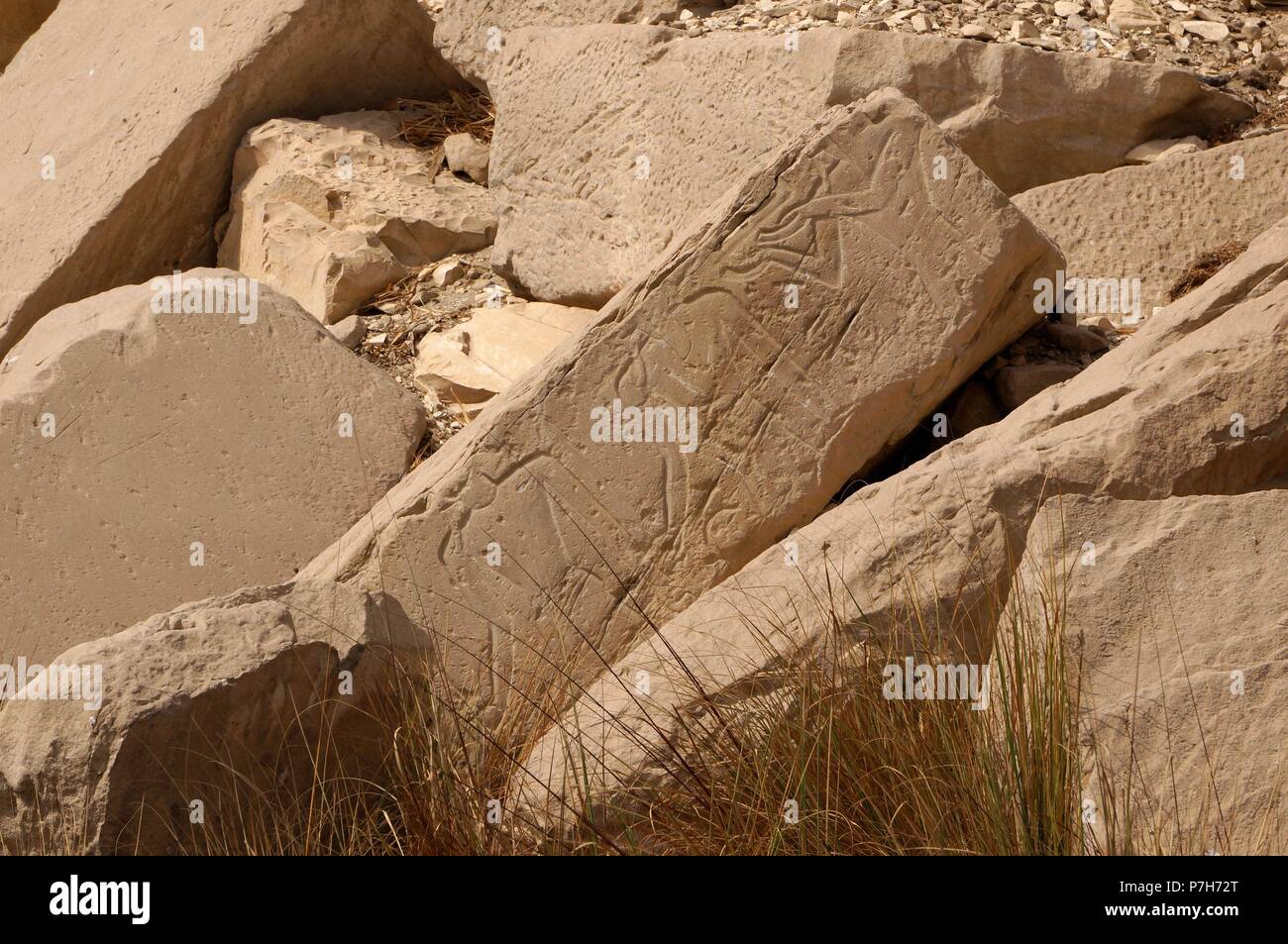 Egipto. Ramesseum. Nombre dado al templo funerario erigir ordenado por Ramsés II, y situado en la necrópolis de Tebe, en la ribera occidental del río Nilo, Frente a la ciudad de Luxor. Foto Stock