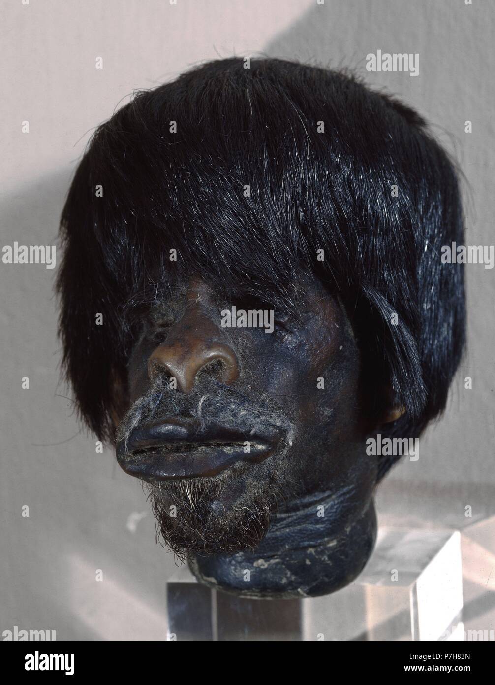 CABEZA HUMANA REDUCIDA DE JIBARO. Posizione: MUSEO DE AMERICA-COLECCION, MADRID, Spagna. Foto Stock