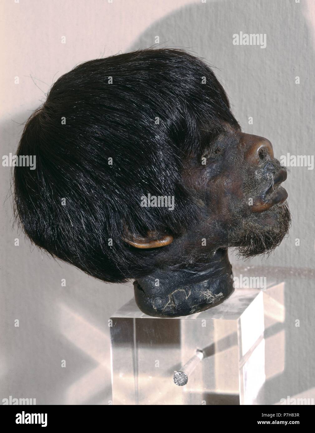 CABEZA HUMANA REDUCIDA DE JIBARO. Posizione: MUSEO DE AMERICA-COLECCION, MADRID, Spagna. Foto Stock