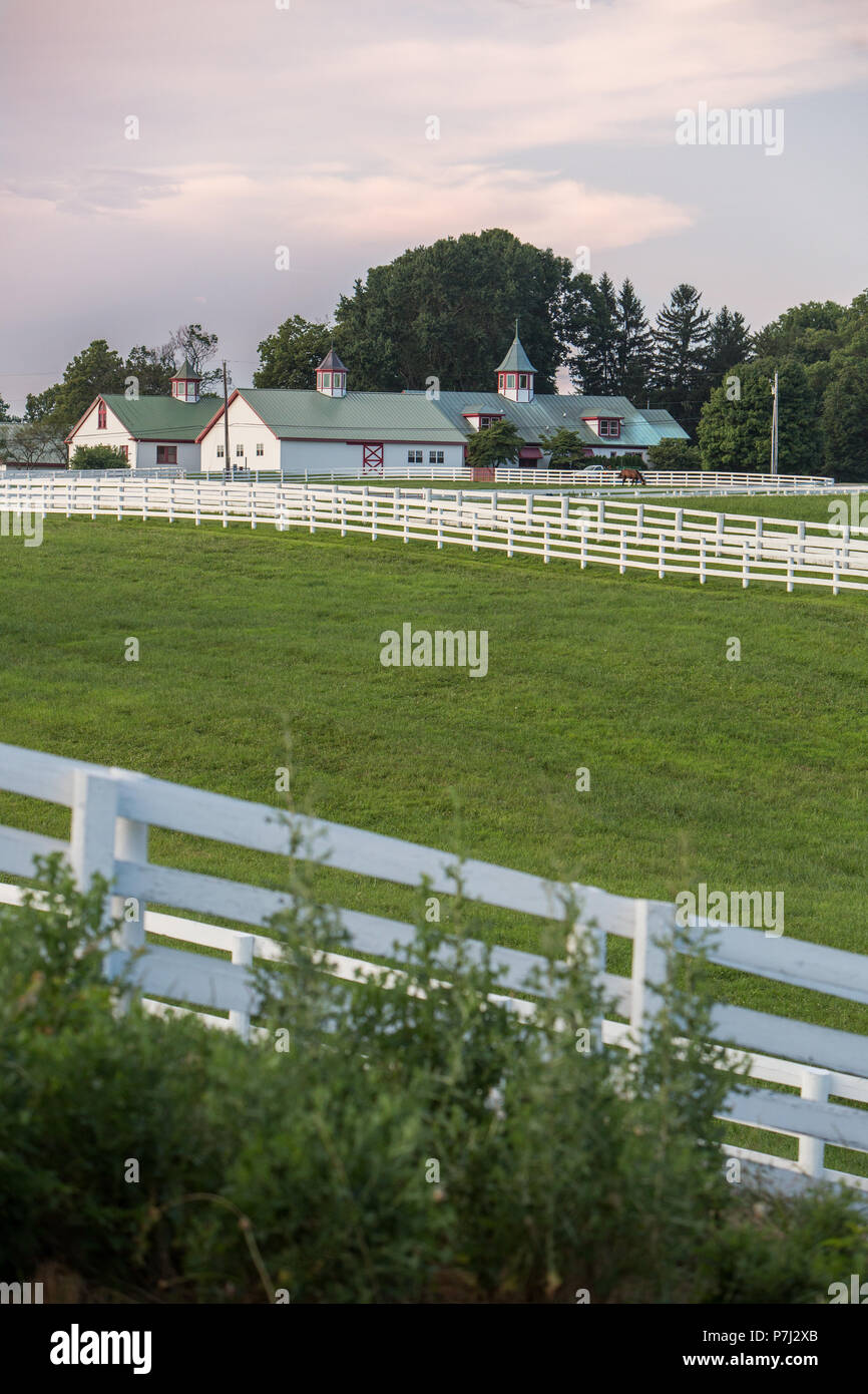 Keeneland, un allevamento di cavalli in Kentucky, durante un tramonto d'estate. Foto Stock