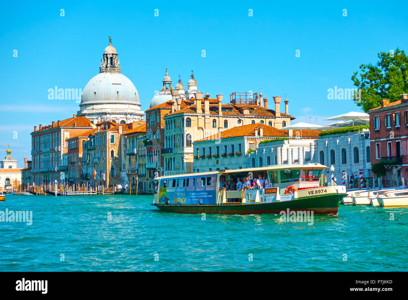 Venezia, Italia - 16 Giugno 2018: Venetian acqua bus vaporetto sul Canal Grande vicino alla chiesa di Santa Maria della Salute, a Venezia Foto Stock