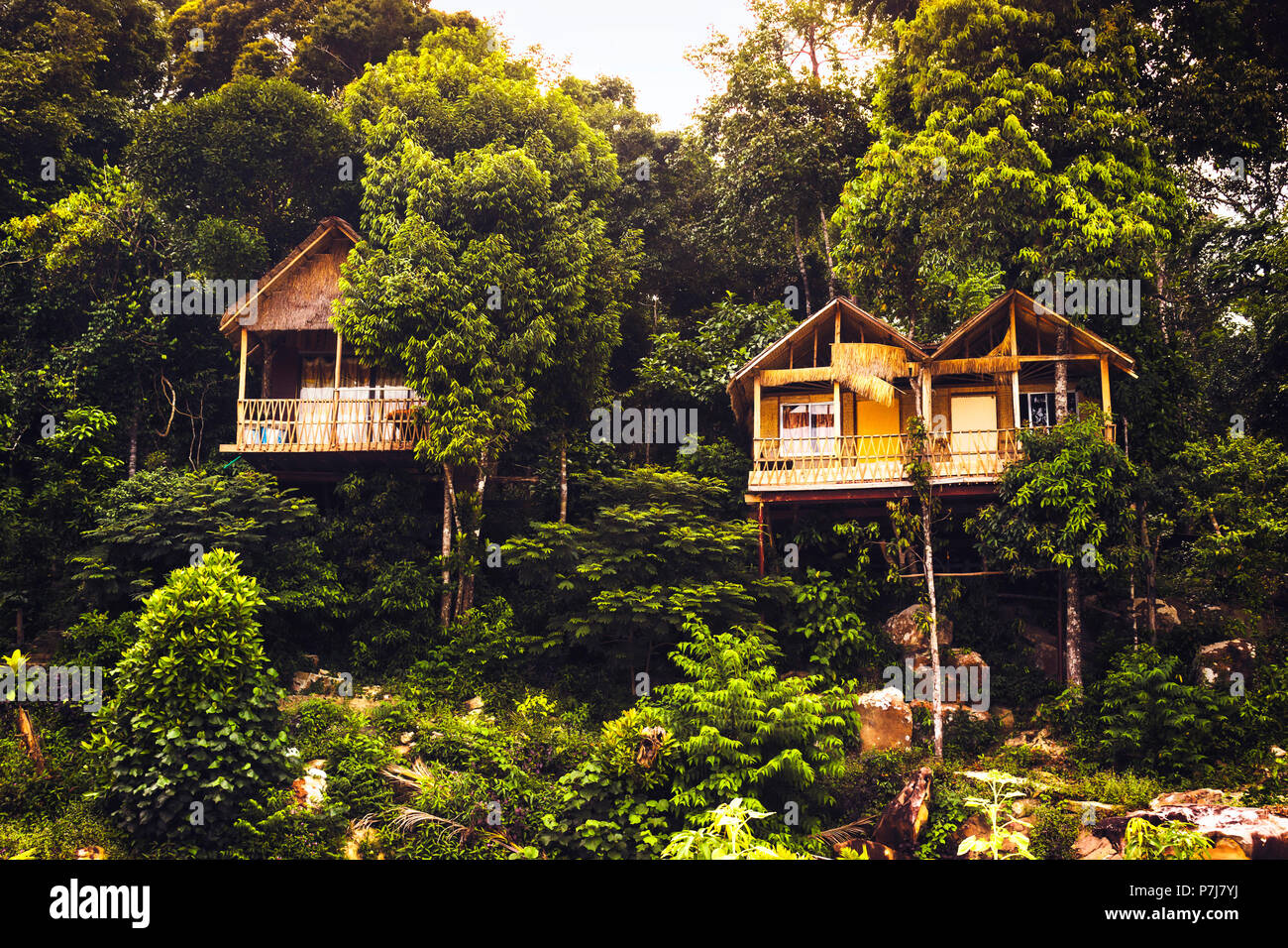 Bellissimi bungalows su un isola esotica in mezzo alla giungla. La bellezza della natura. Foto Stock