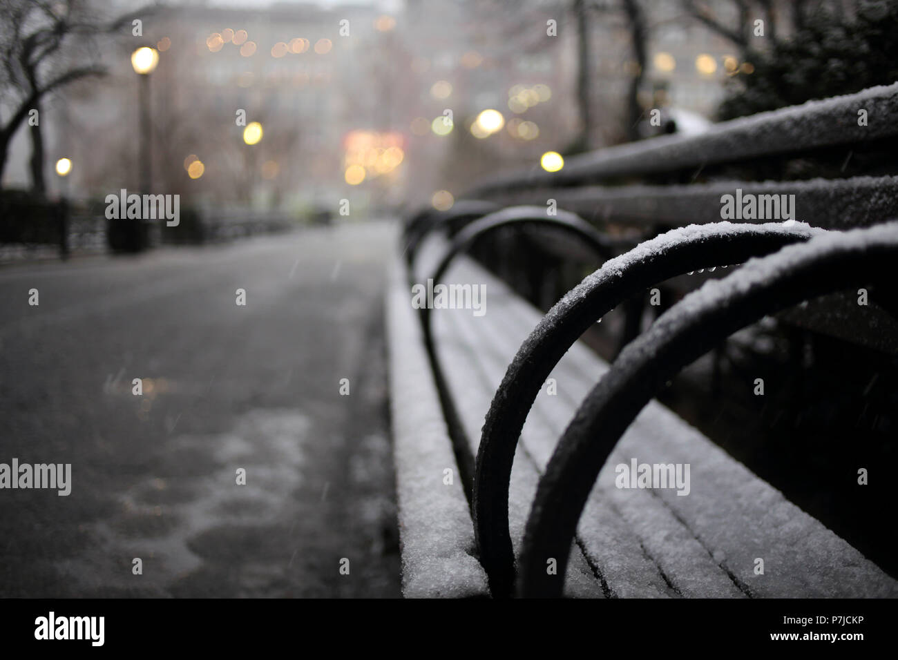 Panchina Snowy, Union Square Park, Manhattan, New York, Stati Uniti Foto Stock