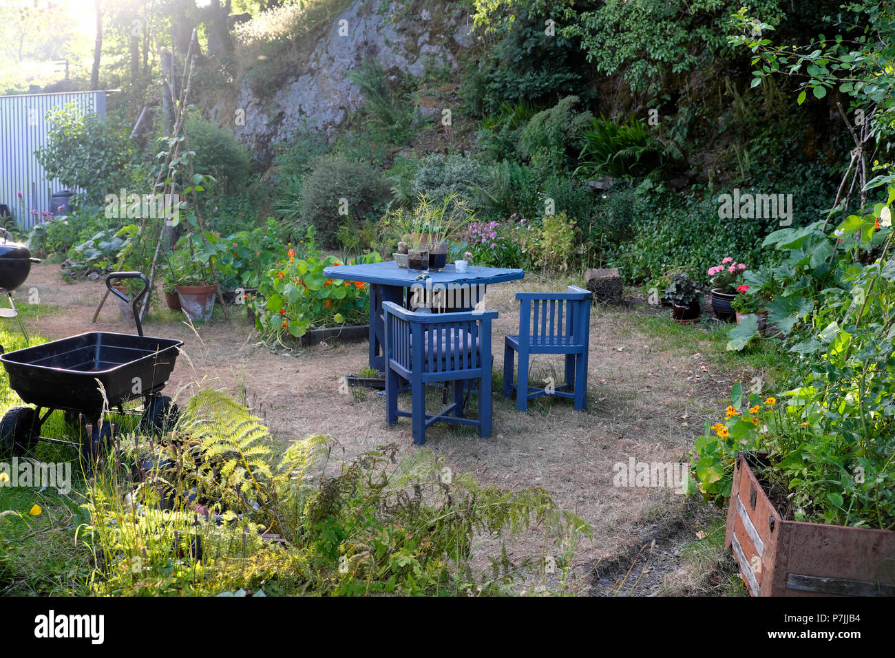 Mobili da giardino vintage blu sedie da tavolo con carro e parched Prato in un piccolo giardino di campagna cortile nel caldo giugno Estate Galles Regno Unito KATHY DEWITT Foto Stock
