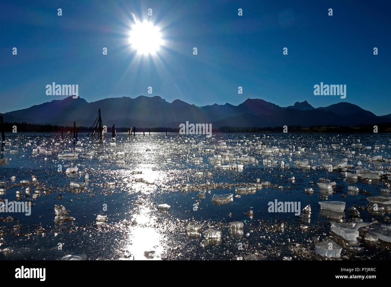 Lago ghiacciato Hopfensee vicino a Füssen nella regione di Allgäu, in una limpida giornata invernale e Foto Stock