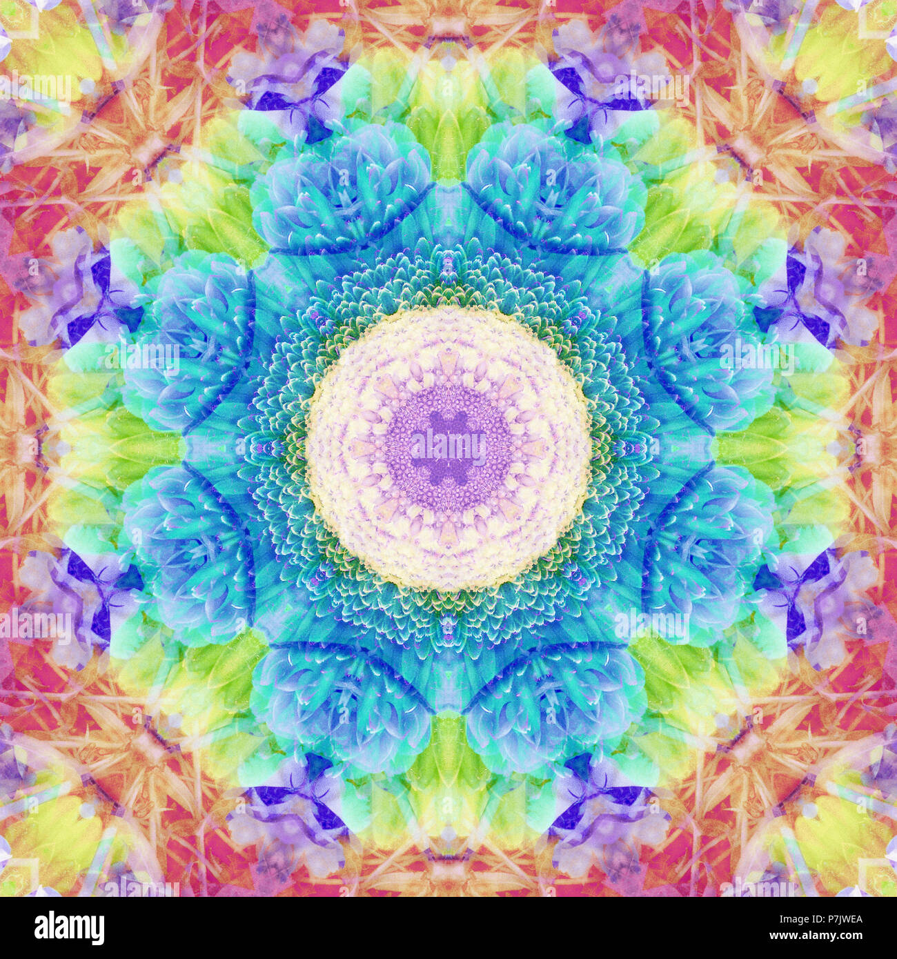 Fiore fotografico mandala, viola, giallo, turchese, rosa, Foto Stock