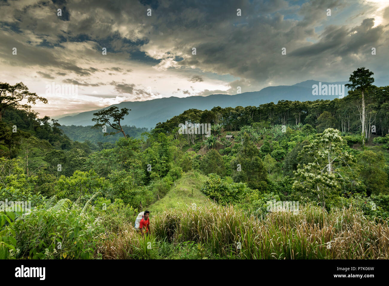 Atmosfera serale sul bordo di Gunung Leuser National Park, porter in attesa per il fotografo Foto Stock