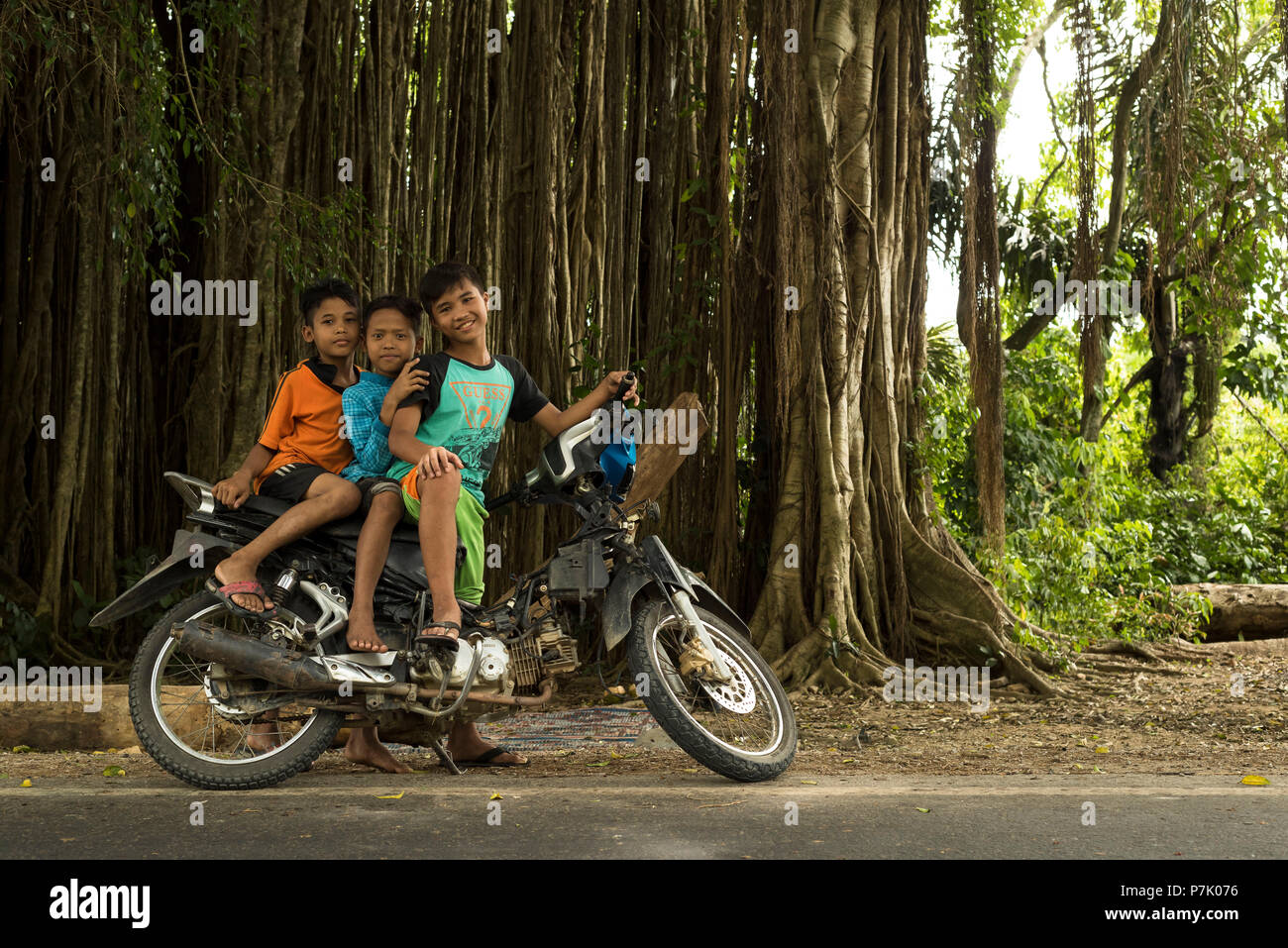 Tre ragazzi piccoli su un ciclomotore, nello sfondo il banyan tree, Foto Stock