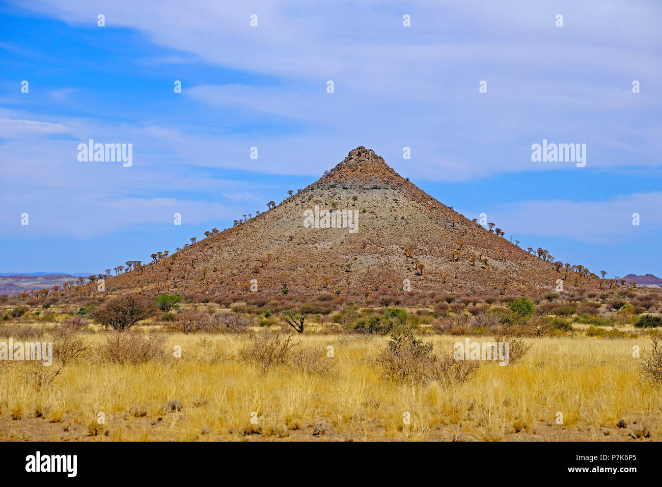 Pianura, collina conica di slittamento rock con faretra radi alberi e erba gialla nella prateria del sud del Kalahari in Namibia Foto Stock