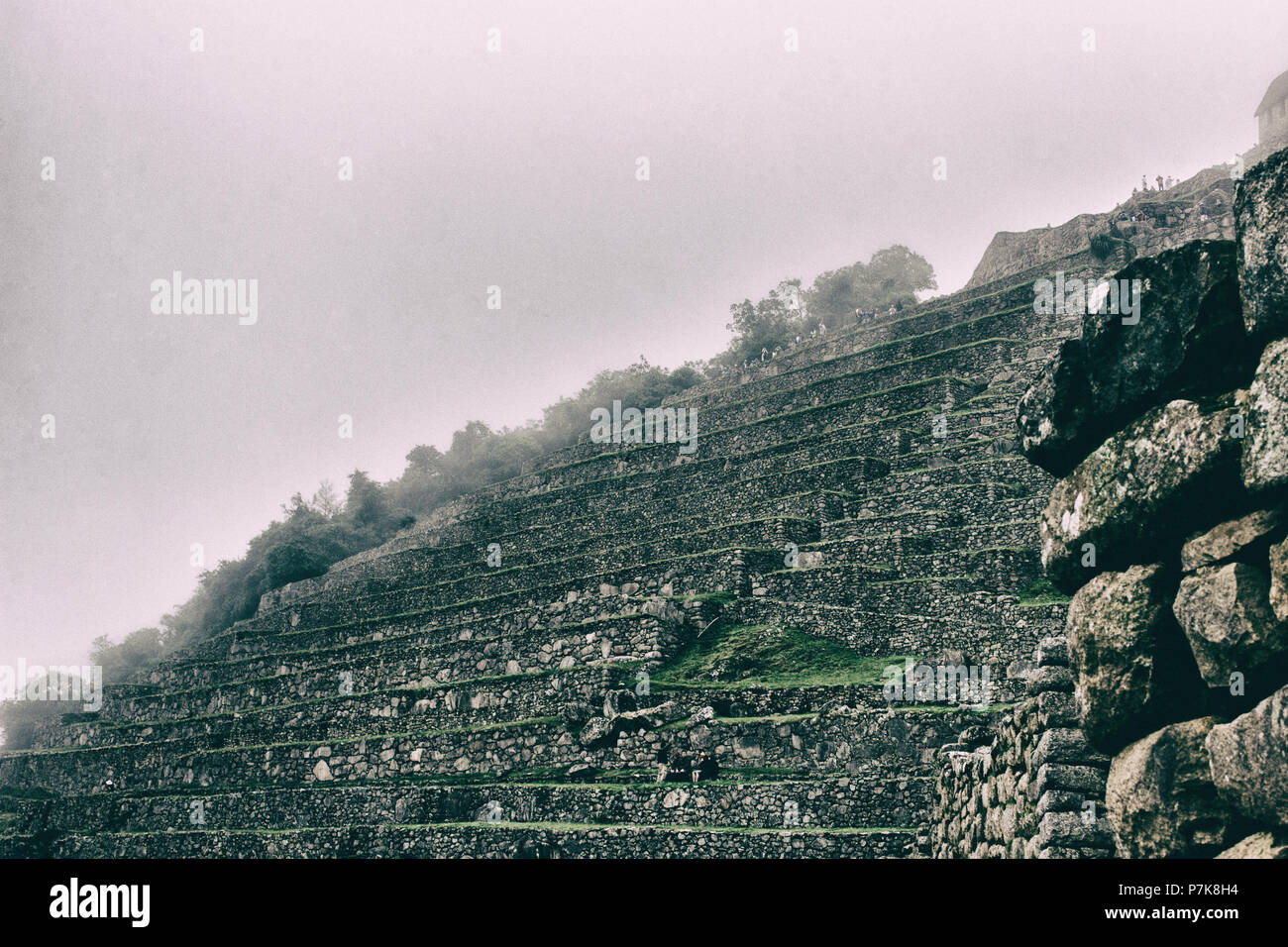 Bellissime foto di sfondo di Inca agricoltura terrazze in pietra con la nebbia. Inca Trail. Il Perù. N. persone. Foto Stock