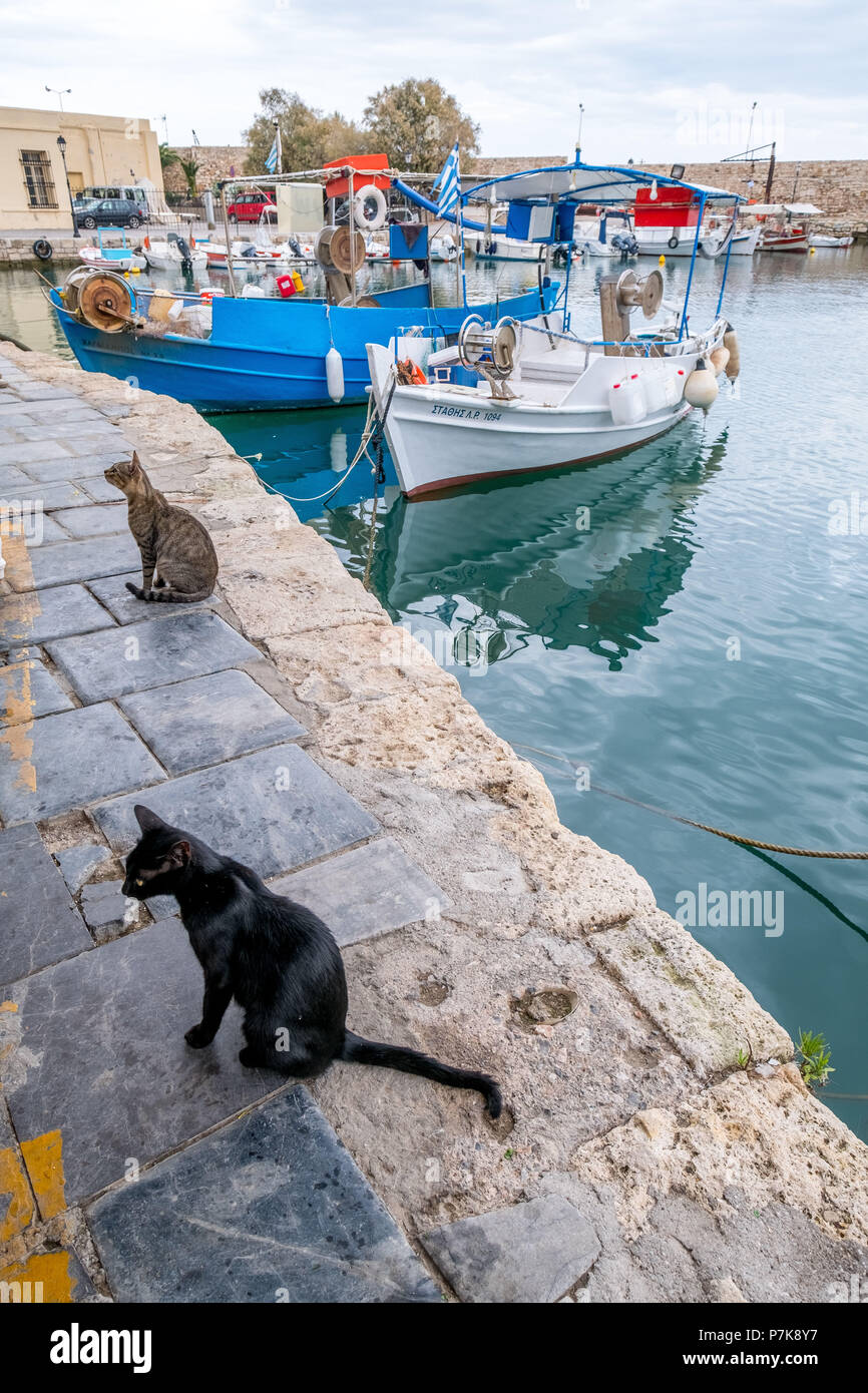Gatti presso il molo del porto veneziano di Rethymno, barche da pesca, Europa, Creta, Grecia, Foto Stock