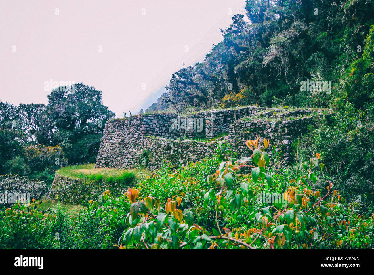 Bella e verde e arancione natura selvaggia con antica pietra Inca checkpoint sullo sfondo. Il Perù. Sud America. N. persone. Foto Stock