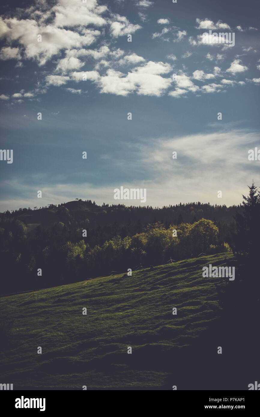 Pendenza, foresta, sky, nuvole Foto Stock