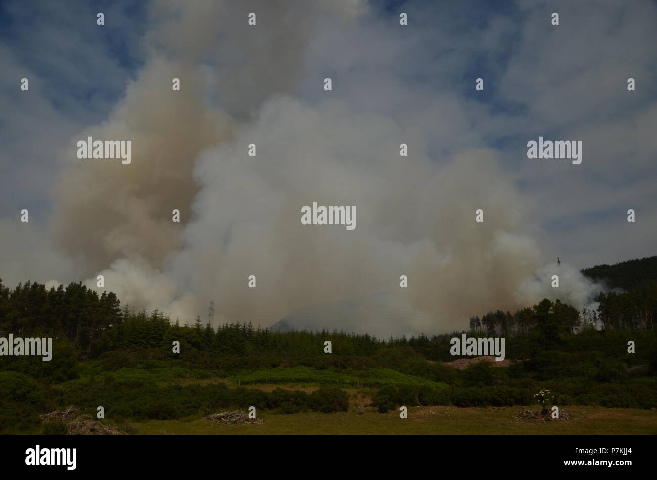 Hill Fire sul Ben Bhraggie 7 luglio 2018, sull'Sutherland station wagon, vicino a Golspie village, Scozia Foto Stock
