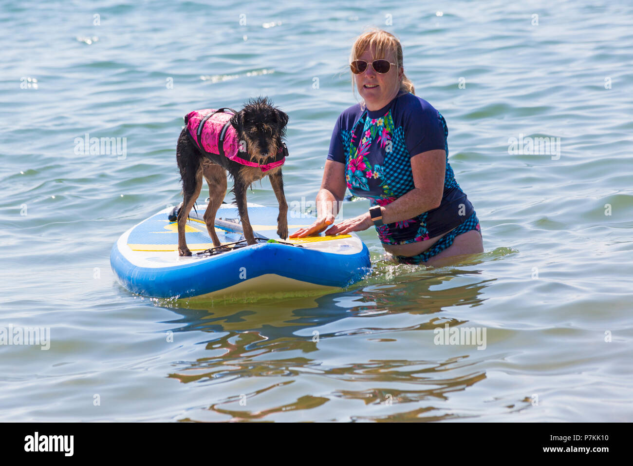 Branksome Dene, Poole, Dorset, Regno Unito. Il 7 luglio 2018. Tinker, a dieci mesi di croce del cane di razza, gode essendo fresco surf al mare con Shaka Surf su una calda giornata di sole. Credito: Carolyn Jenkins/Alamy Live News Foto Stock