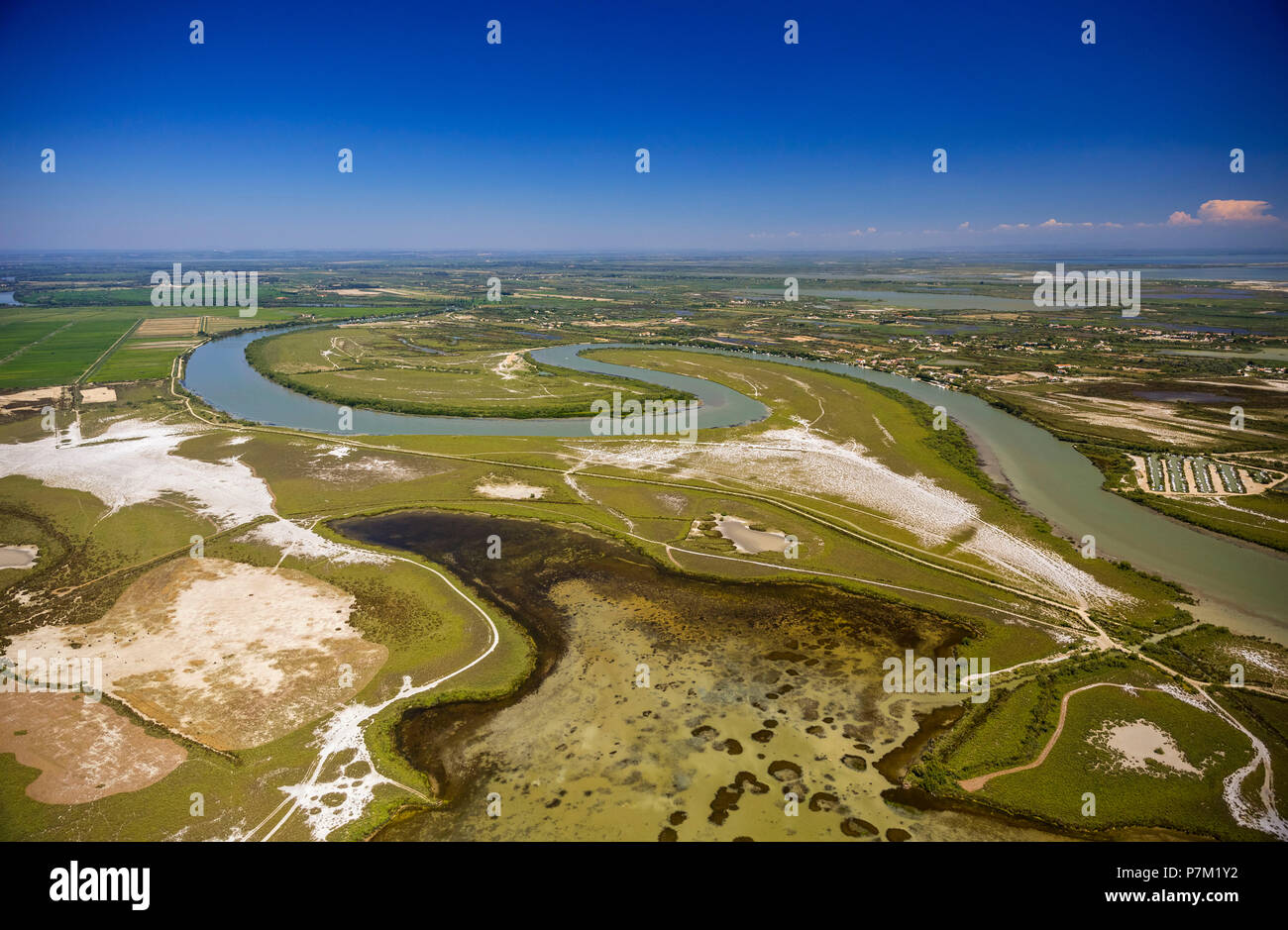 Petit-Rhône prima di entrare nel Mediterraneo, meandro, Camargue, Bouches-du-Rhône, Saintes-Maries-de-la-Mer, Provence-Alpes-Côte d'Azur, in Francia Foto Stock