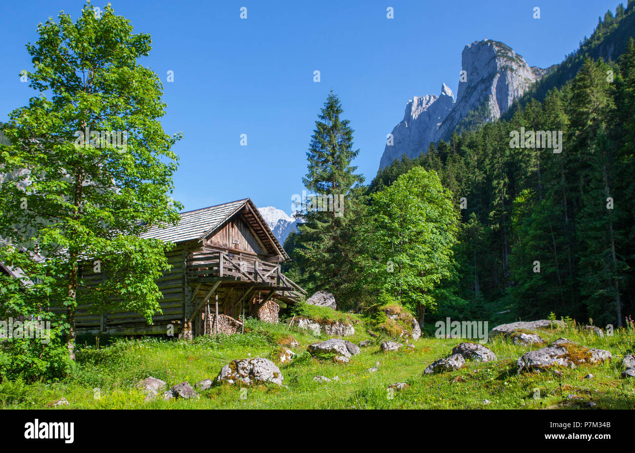 Austria, Austria superiore, regione del Salzkammergut, Gosau, Dachstein massiccio Dachstein, capanna in legno, Foto Stock