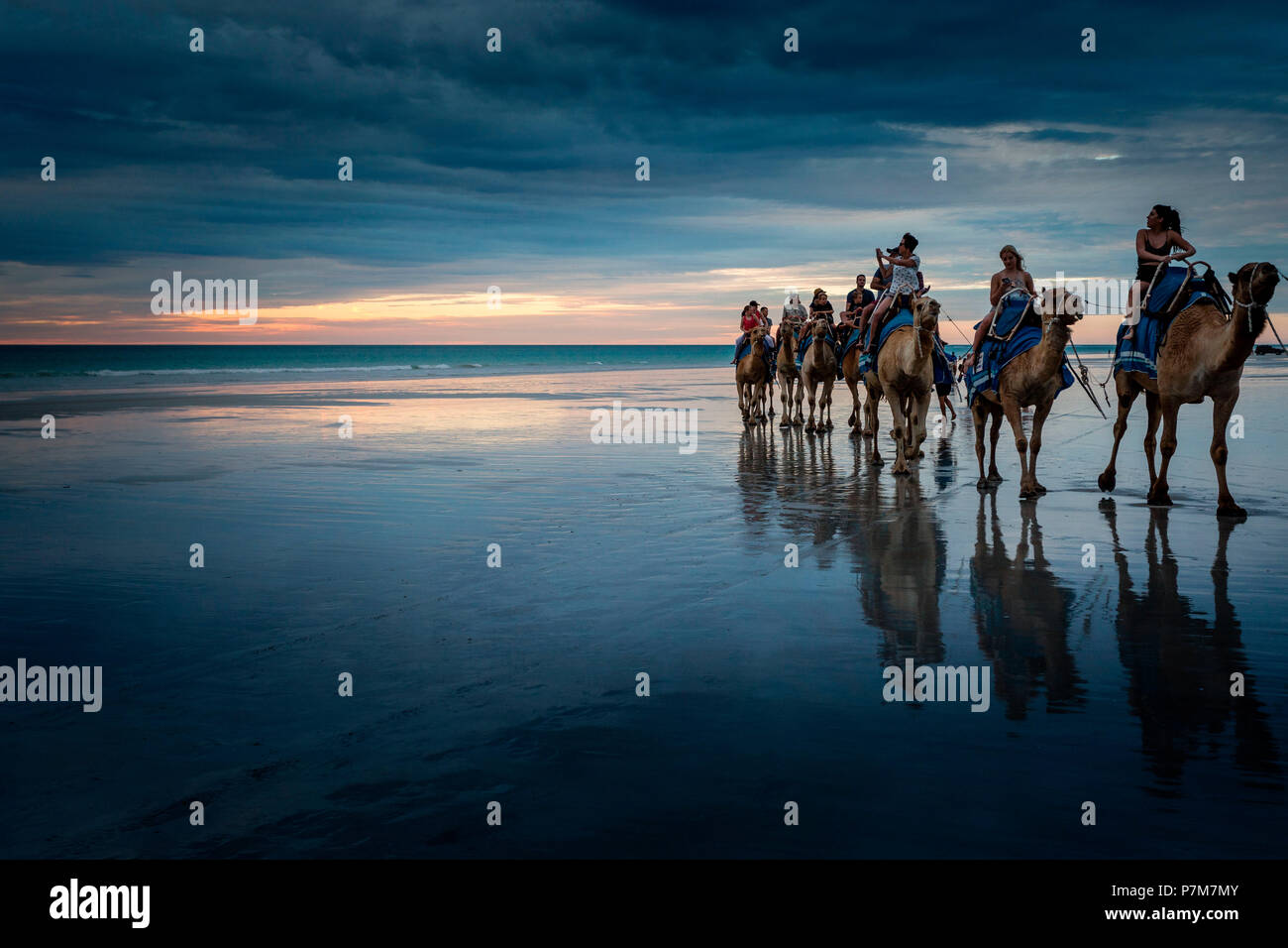 Camel tour ride a Cable Beach, Broome, Kimberley, Australia occidentale Foto Stock