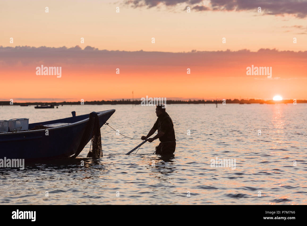 Sacca di Scardovari, Porto Tolle, provincia di Rovigo, Delta del Po Veneto, Italia, Europa Foto Stock