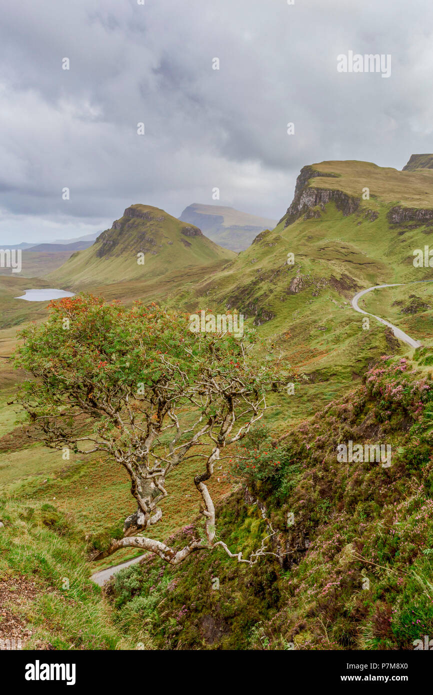 Quiraing paesaggio montano del Trotternish Ridge sull'Isola di Skye, Ebridi Interne, Scotland, Regno Unito Foto Stock