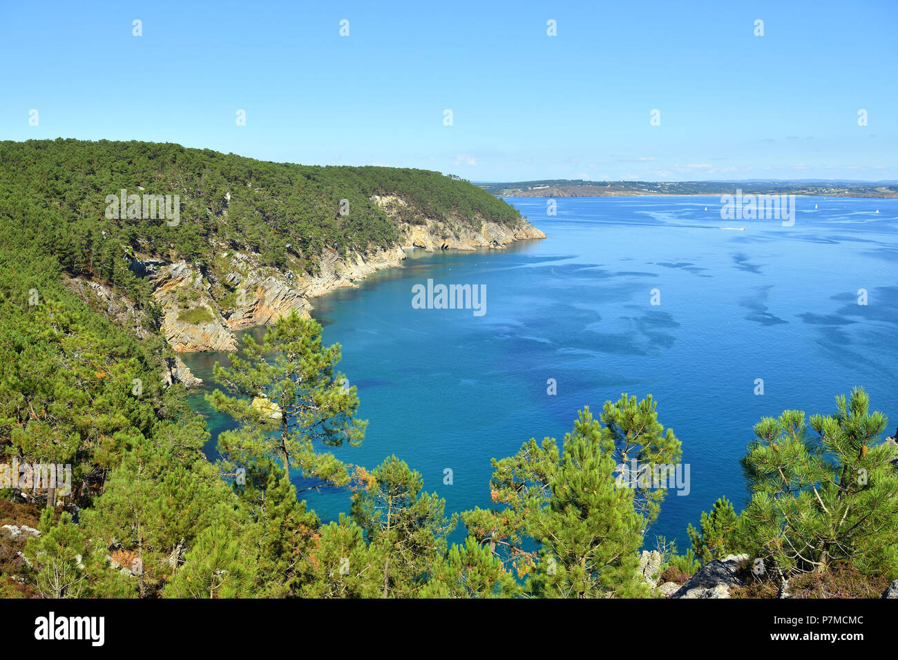 Francia, Finisterre, Iroise Mare, Parc Naturel Regional d'Armorique Armorica (Parco naturale regionale), Presqu'ile de Crozon, Cap de la Chevre, Pointe de Saint Hernot Foto Stock