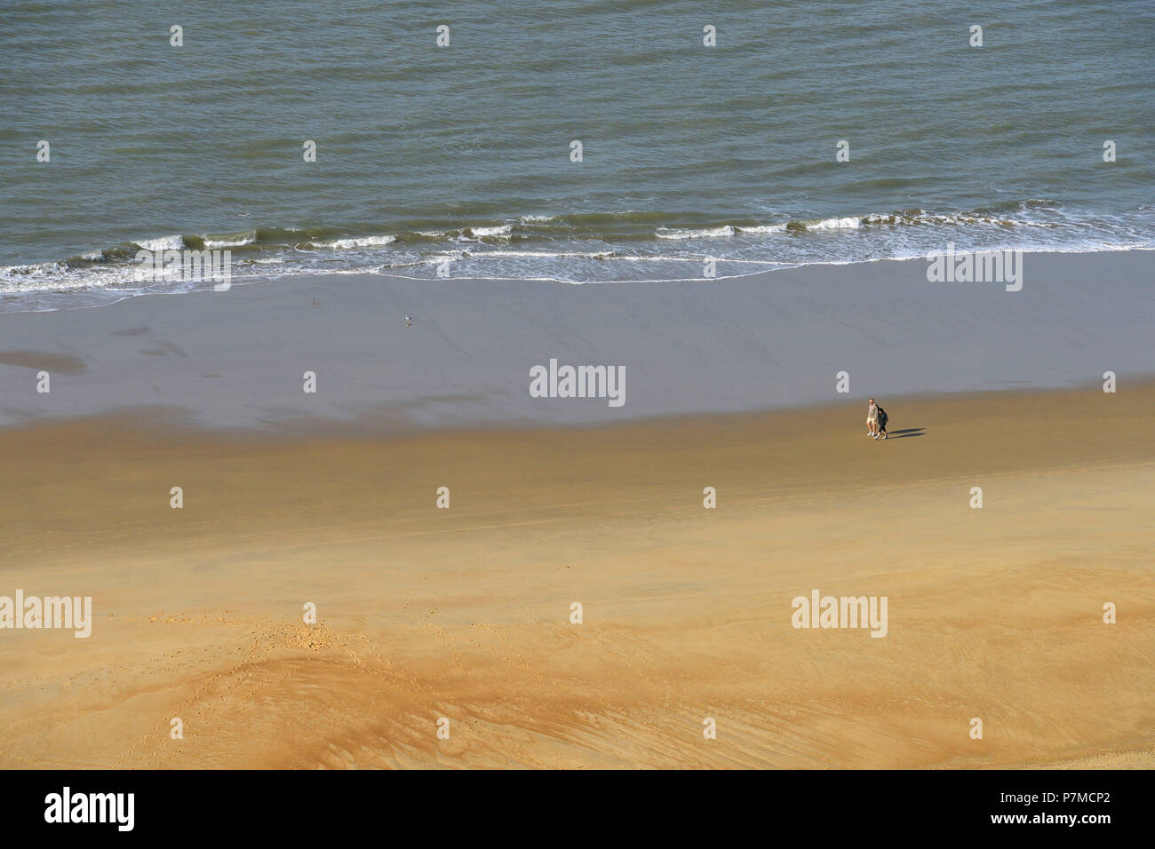 Francia, Charente Maritime, la costa selvaggia, Pointe de La Coubre, La Tremblade, la costa selvaggia spiaggia, vicino al faro Coubre Foto Stock