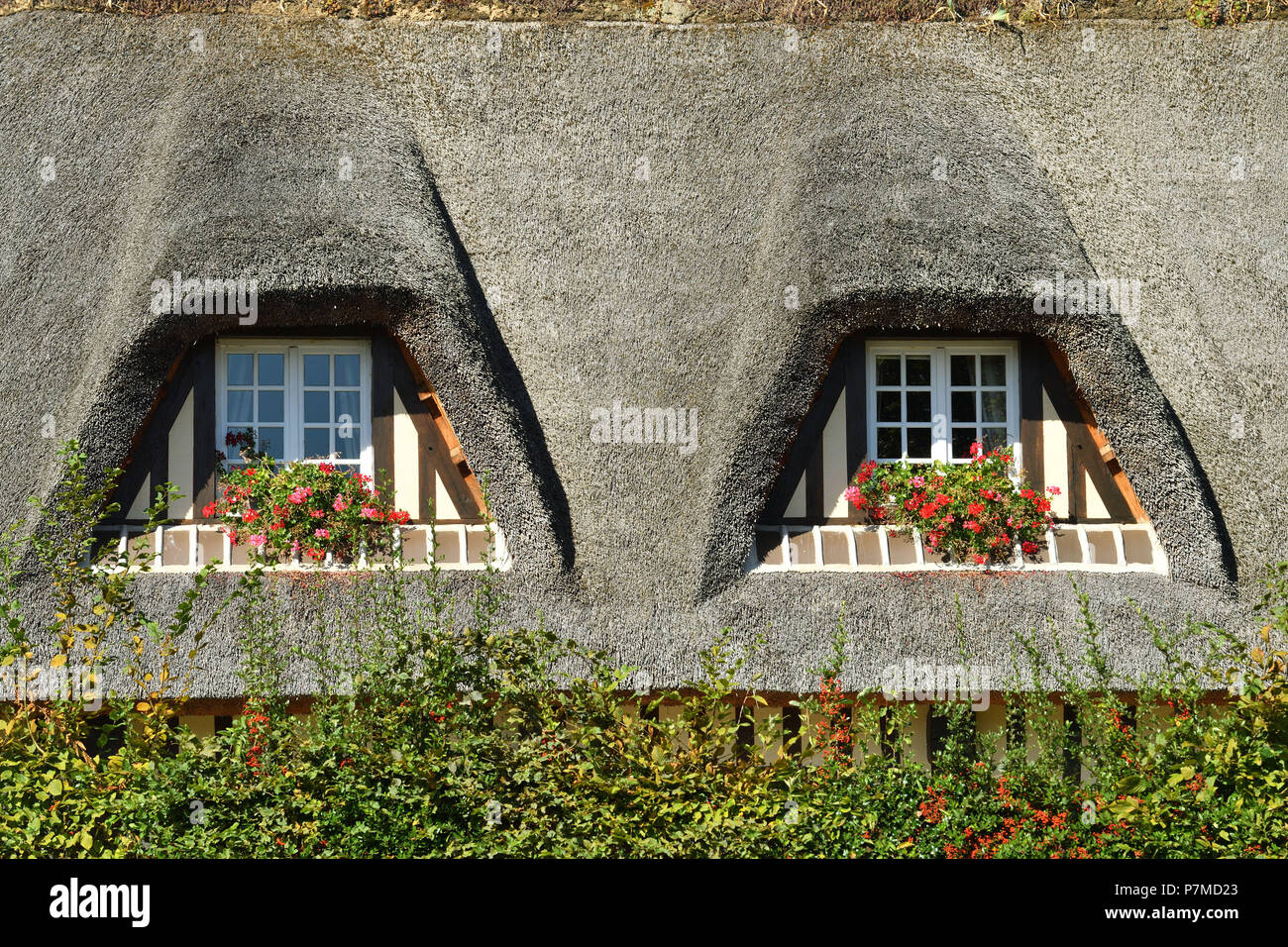 Francia, Calvados, Pays d'Auge, Beuvron-en-Auge, etichettati Les Plus Beaux Villages de France (i più bei villaggi di Francia) Foto Stock