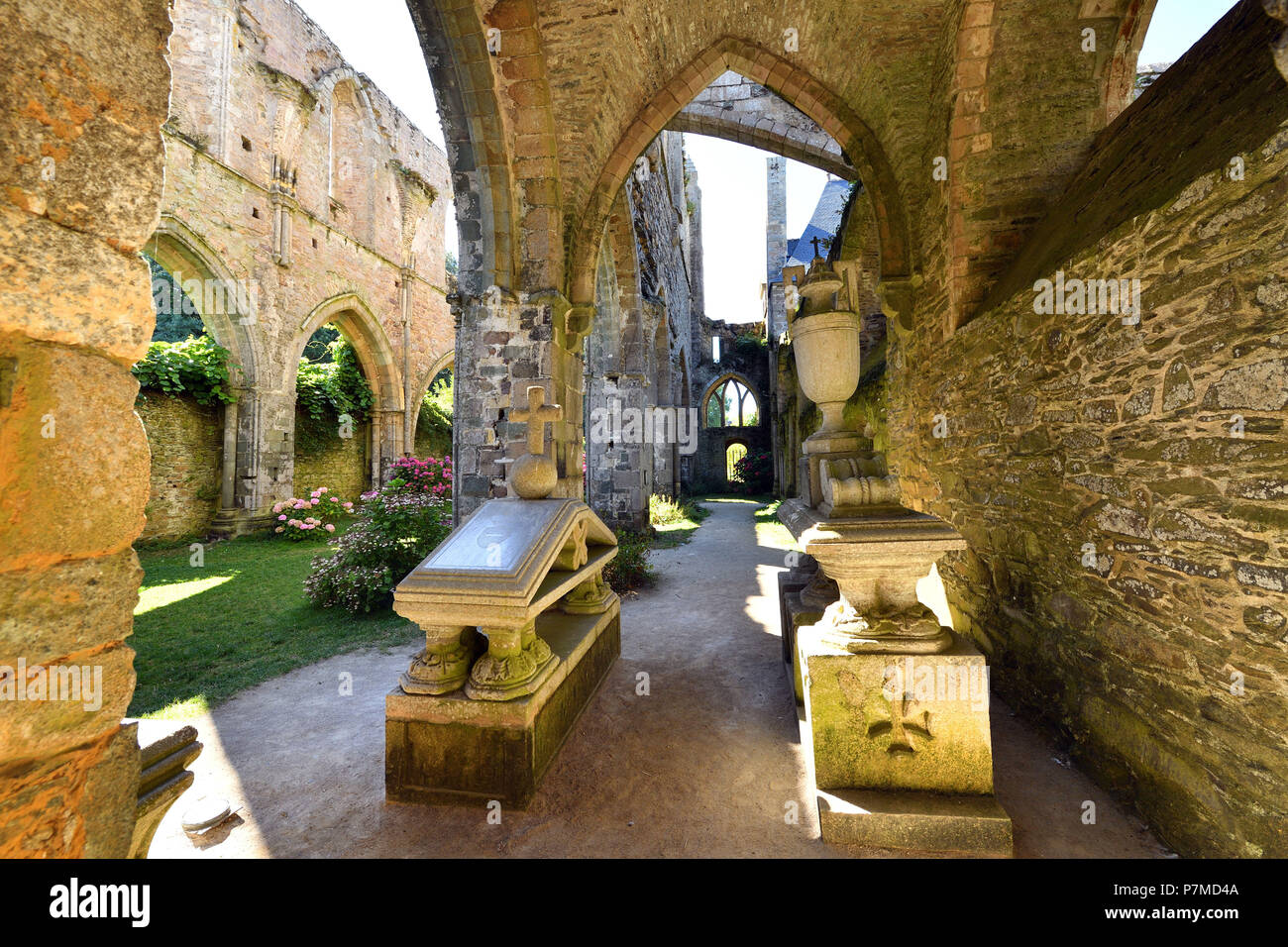 Francia, Cotes d'Armor, fermata sulla via di San Giacomo, di Paimpol, Abbazia di Beauport XIII secolo, all'interno la chiesa abbaziale Foto Stock