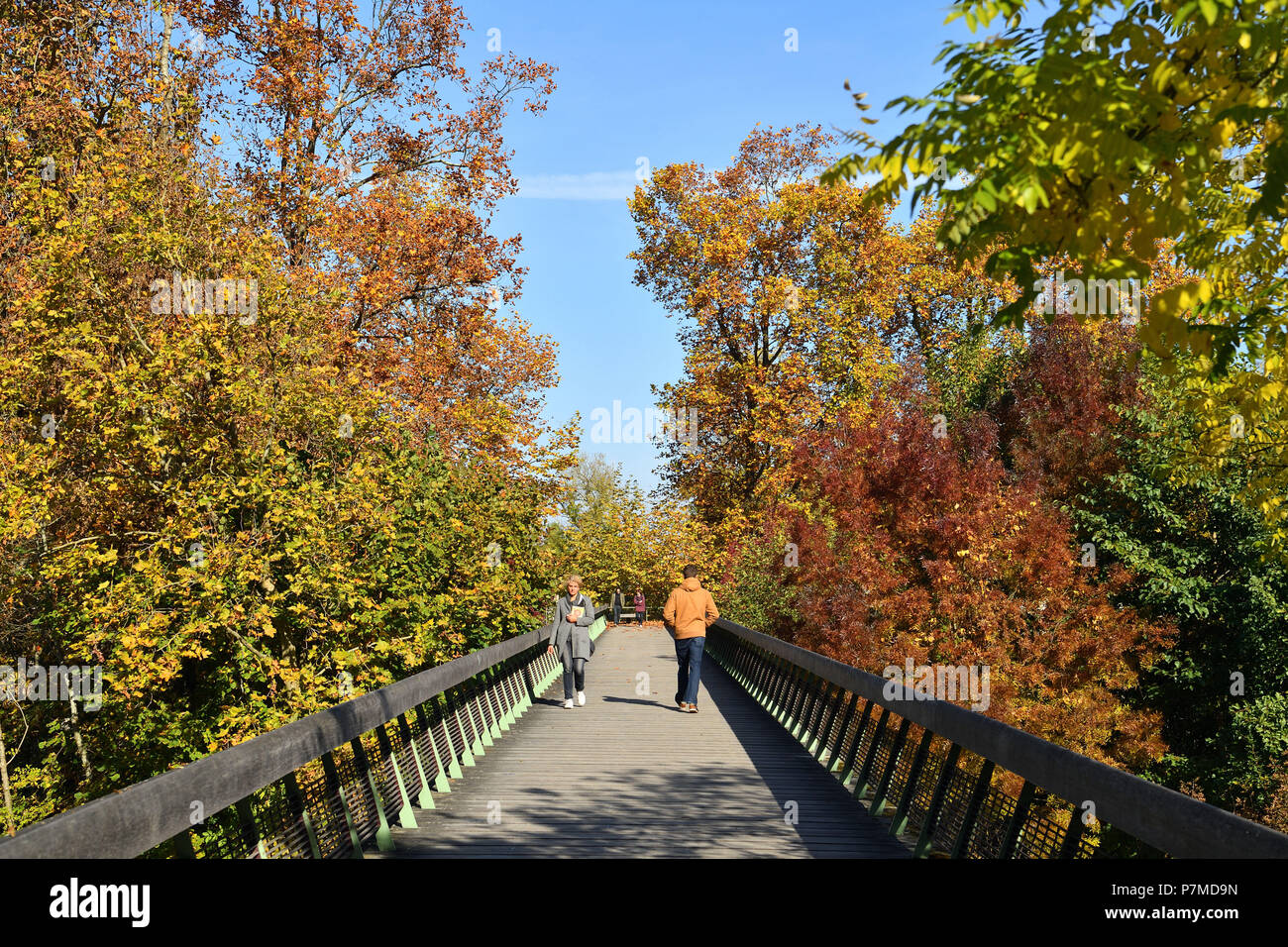 Francia, Charente, Angouleme, link sul fiume Charente Foto Stock