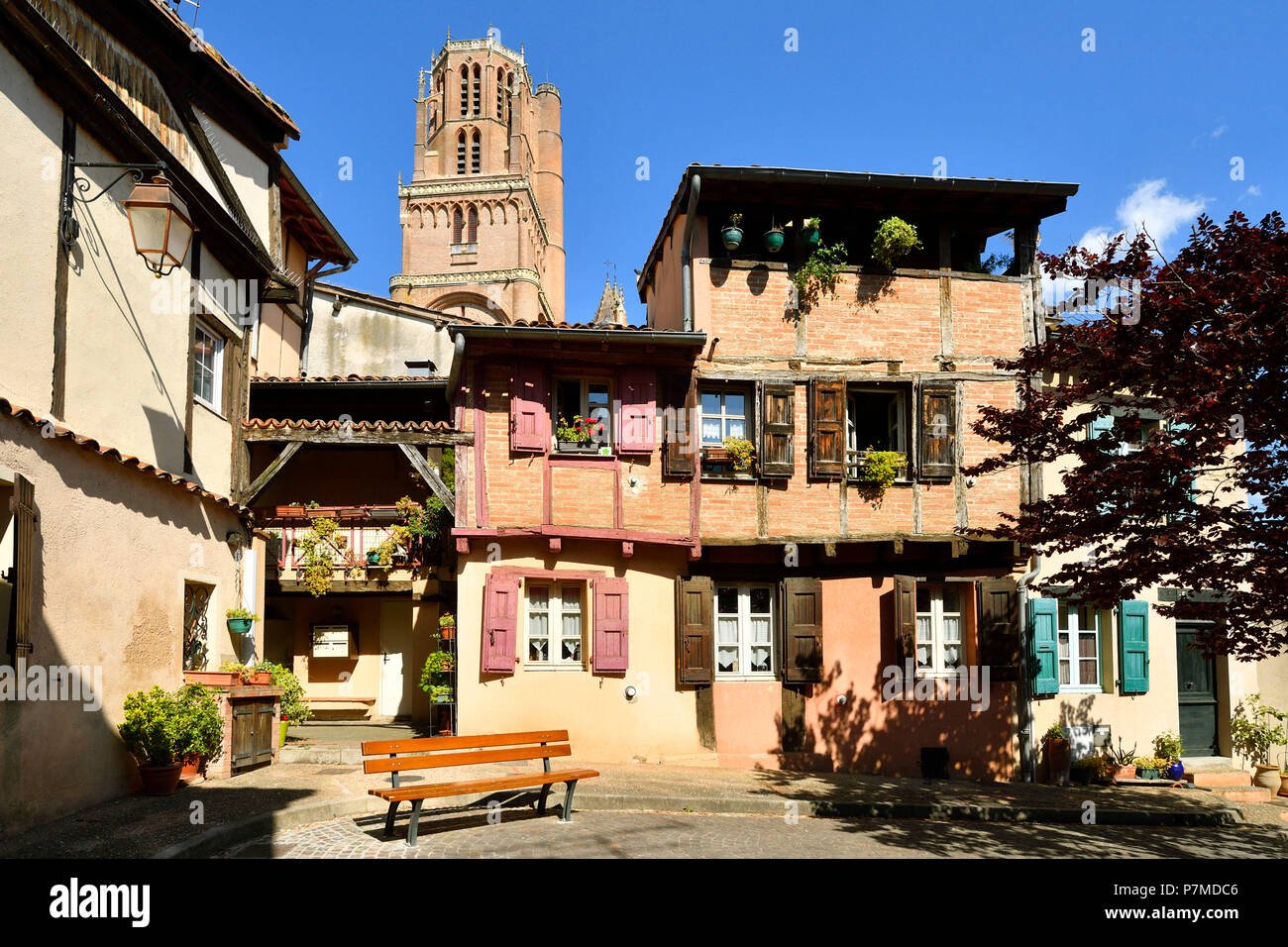 Francia, Tarn, Albi, la città episcopale, classificato come patrimonio mondiale dall UNESCO, Savene square e la Ste Cecile cattedrale Foto Stock