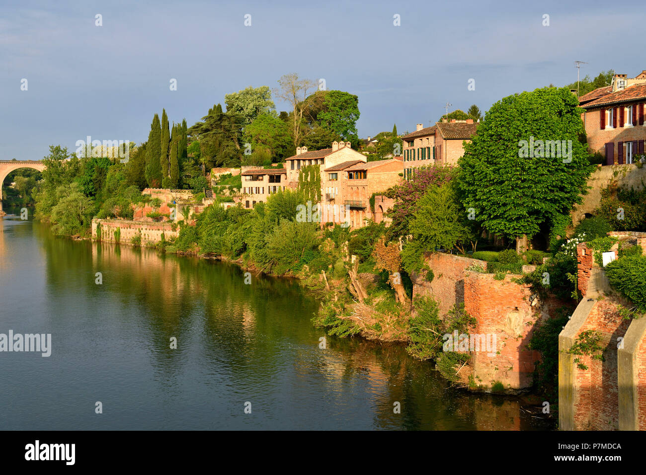 Francia, Tarn, Albi, la città episcopale, classificato come patrimonio mondiale dall' UNESCO, fiume Tarn banche Foto Stock