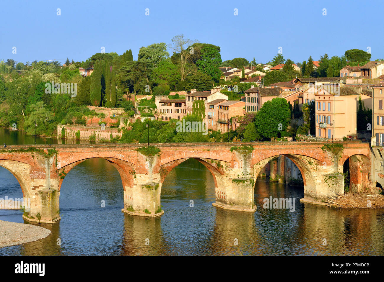 Francia, Tarn, Albi, la città episcopale, classificato come patrimonio mondiale dall UNESCO, il vecchio ponte del XI secolo e del fiume Tarn banche Foto Stock