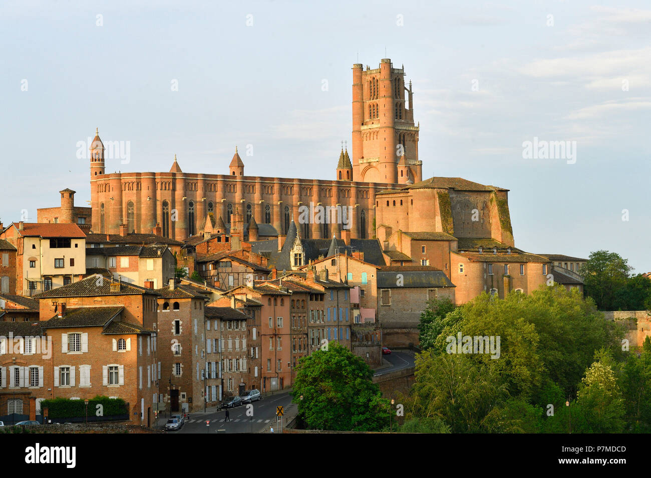 Francia, Tarn, Albi, la città episcopale, classificato come patrimonio mondiale dall' UNESCO, Ste Cecile cattedrale Foto Stock