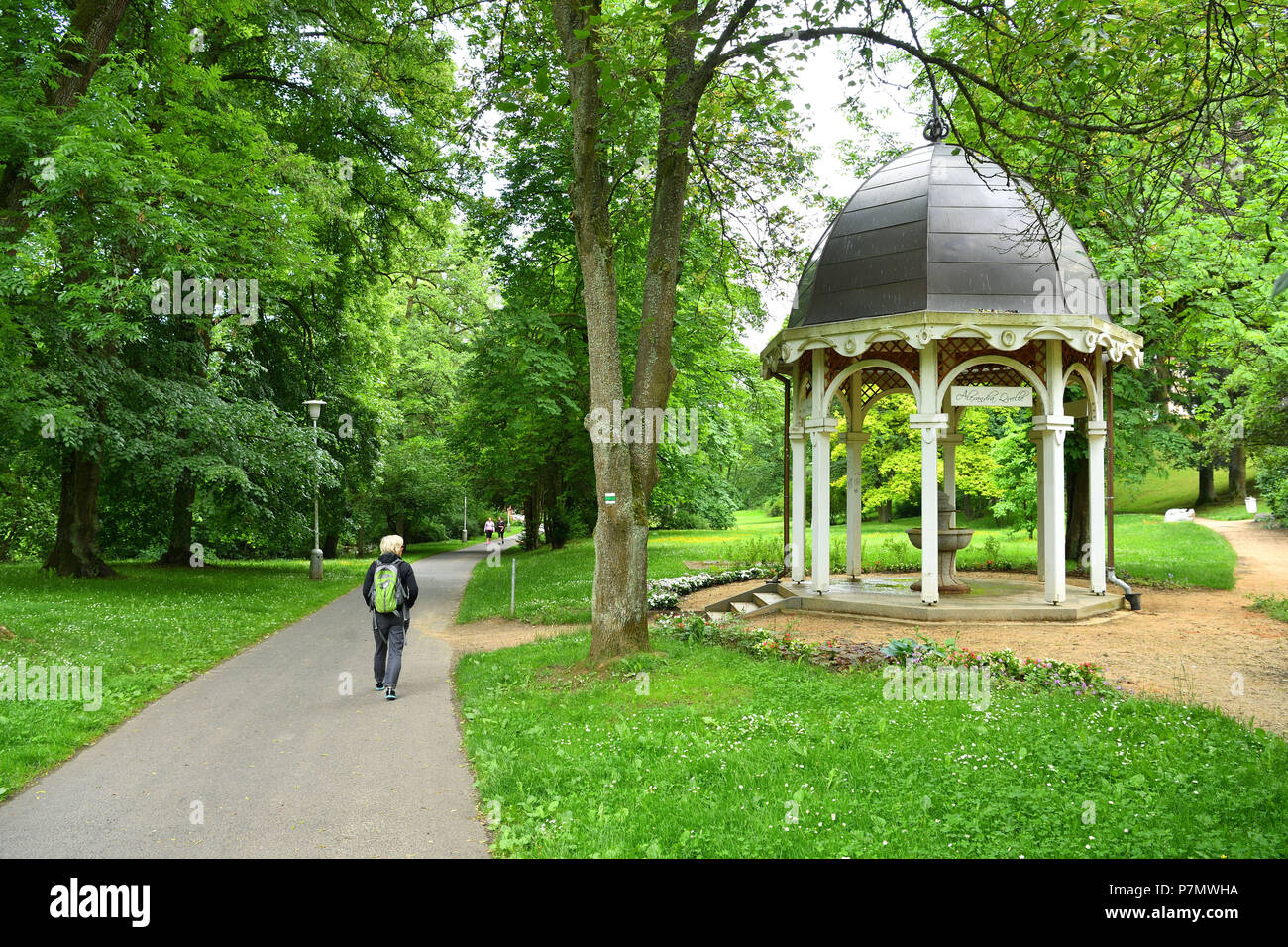 Repubblica ceca, Boemia occidentale, Marianske Lazne (Marianbad), città termale, La Sorgente Alexandra, un gazebo in legno nel parco Foto Stock