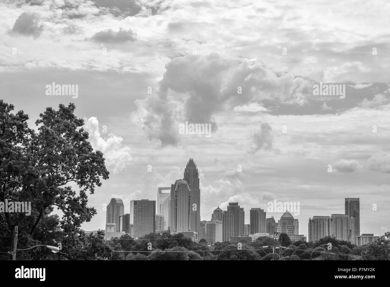 Charlotte, NC skyline; in bianco e nero Foto Stock