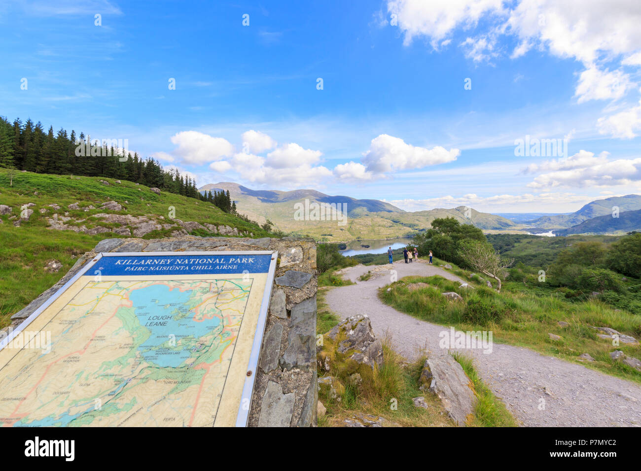 Il sentiero, Parco Nazionale di Killarney, nella contea di Kerry, Irlanda Foto Stock