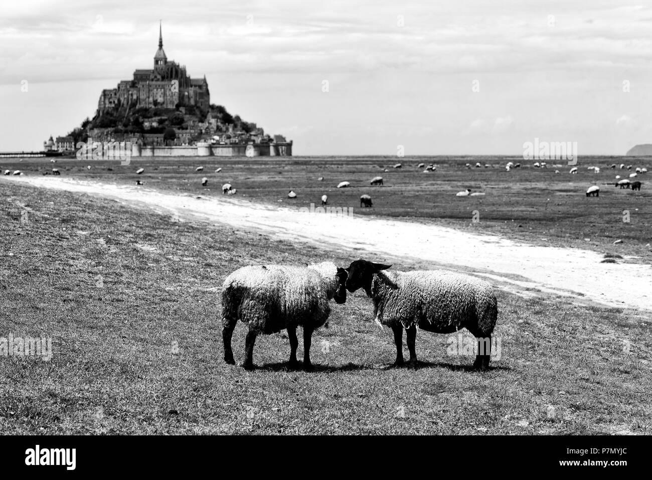 Le Mont Saint Michel, in Normandia, Francia. Foto Stock
