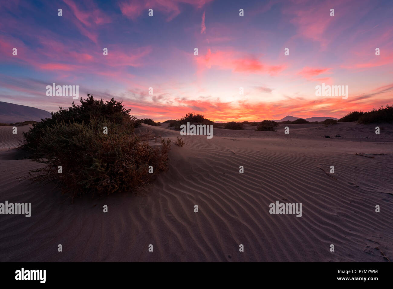 Dune di Famara al tramonto, Lanzarote, Isole canarie, Spagna, Europa Foto Stock