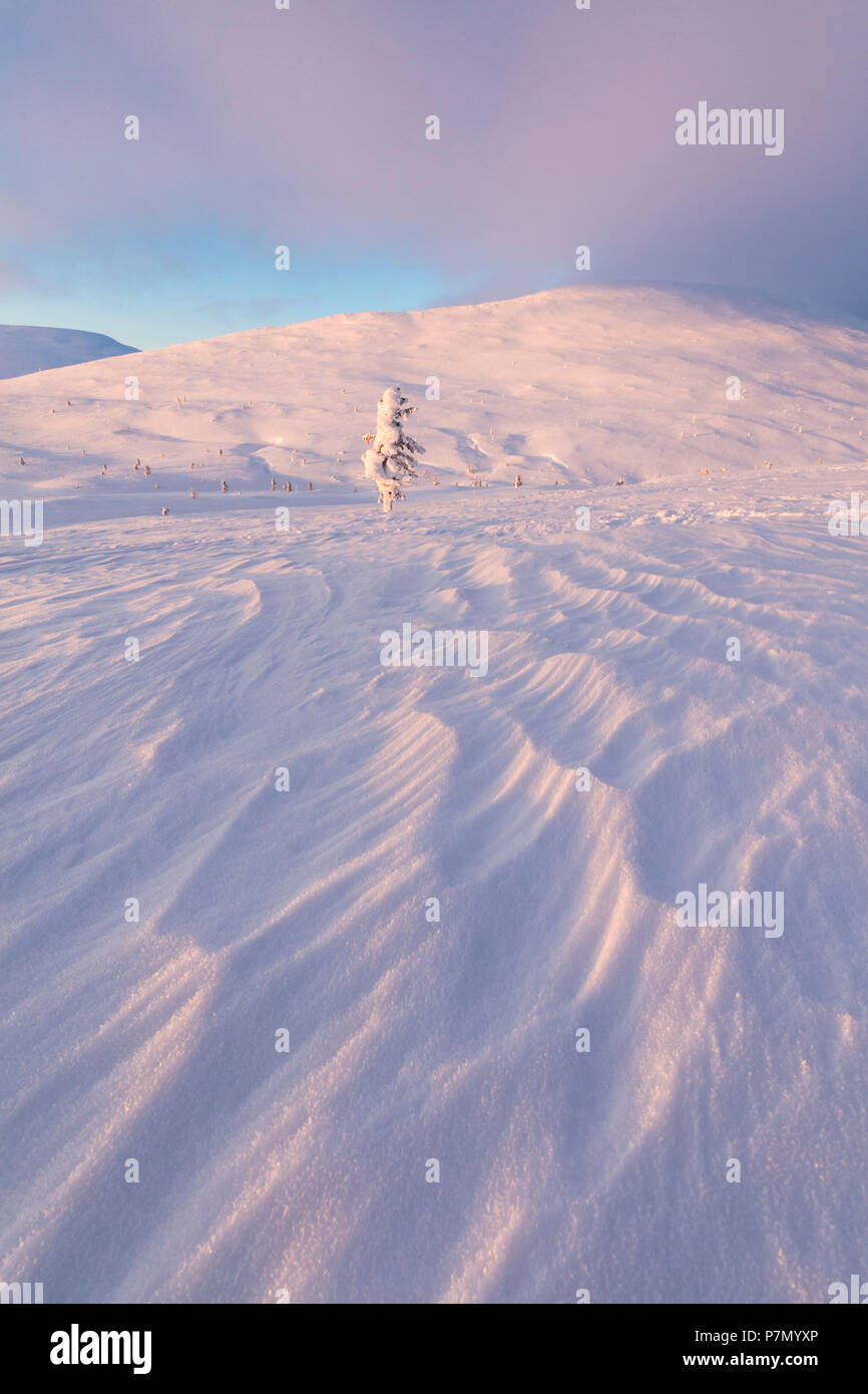 Tramonto sul paesaggio innevato, Pallas-Yllastunturi National Park, Muonio, Lapponia, Finlandia Foto Stock