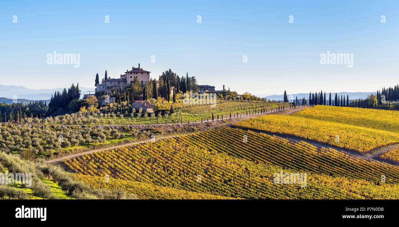 Casa colonica circondata da vigneti. Gaiole in Chianti, in provincia di Siena, Toscana, Italia, Foto Stock