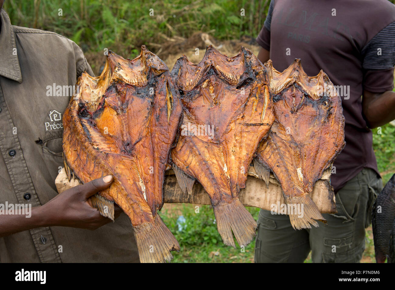 La vendita del pesce affumicato, tilapia, (Ngege), Strada, Street Vendor, fornitori, Uganda Foto Stock