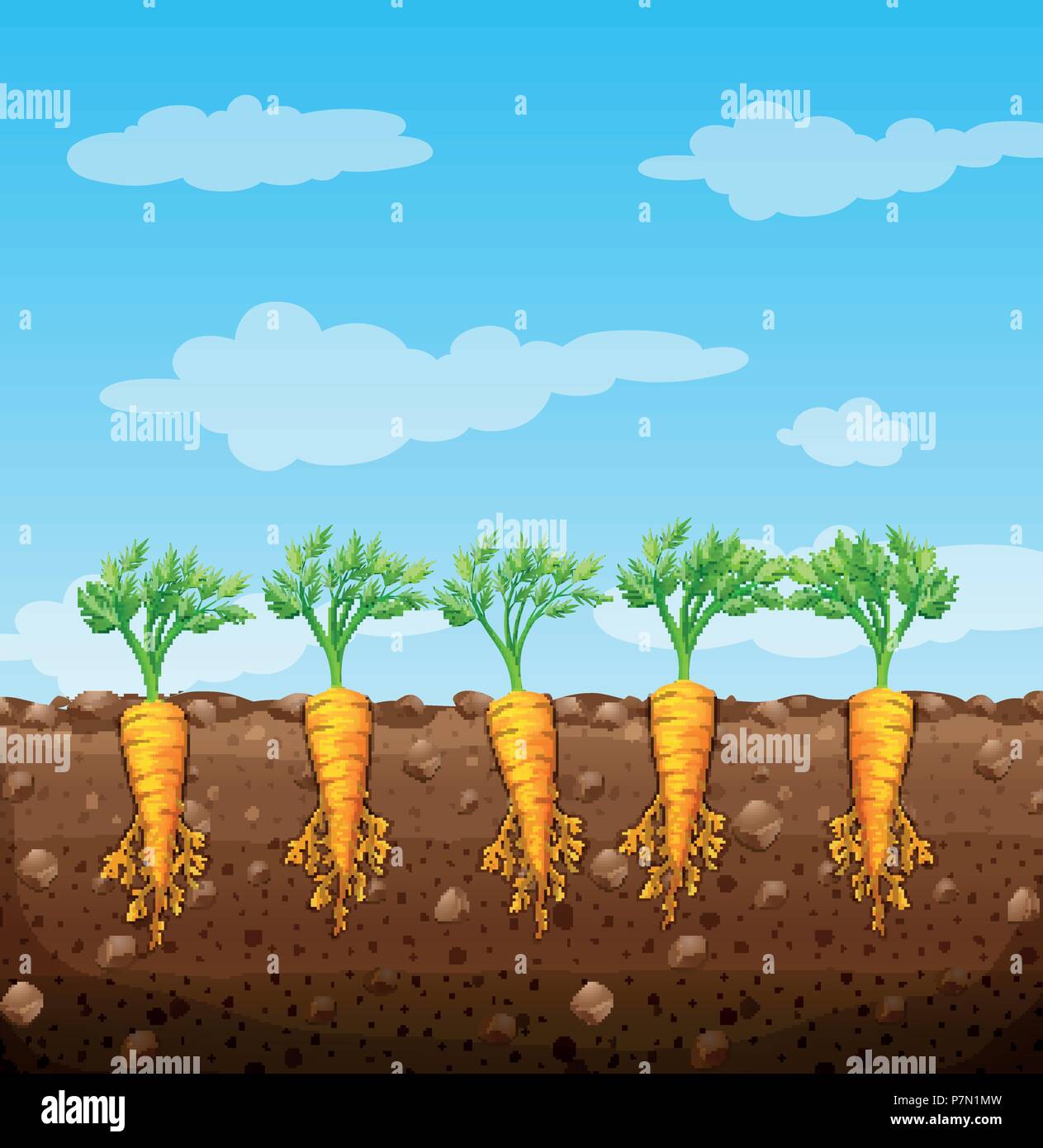 Carote cresce sottoterra con radici illustrazione Illustrazione Vettoriale