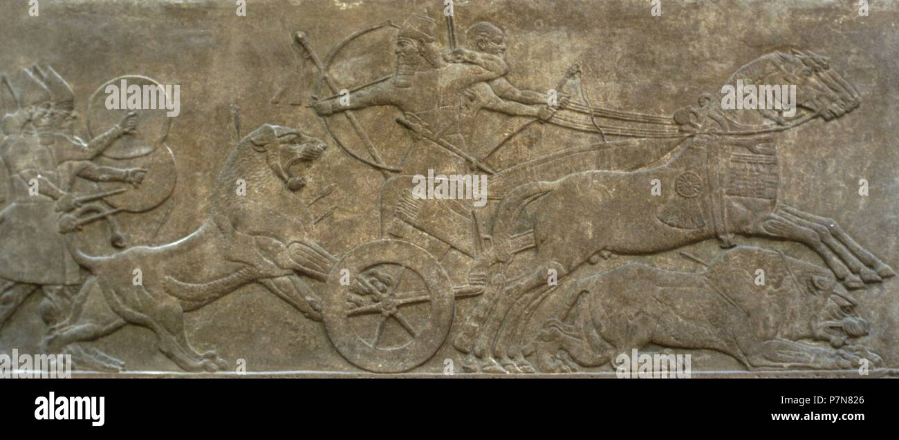 Impero Assiro. 1° millennio A.C. Caccia Ashurnasirpal Lions. Palazzo di Ashurnasirpal II a Nimrud. ca. 865 a.e.v.. L'Iraq. Museo Bristih. Londra. Regno Unito. Foto Stock