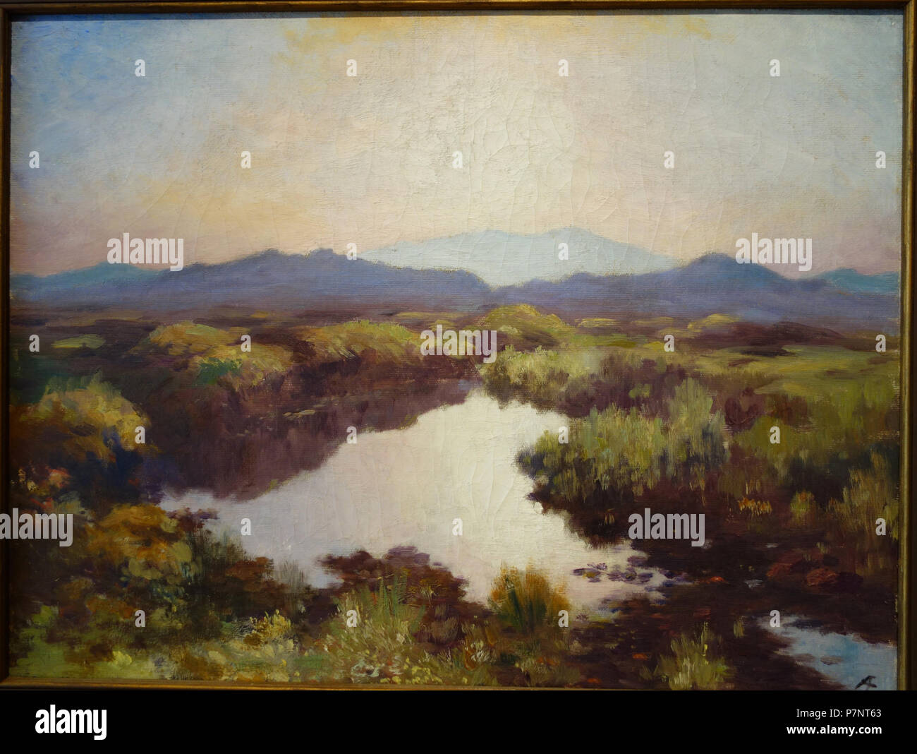 Inglese: mostra a Chazen Museum of Art, University of Wisconsin-Madison, Madison, Wisconsin, Stati Uniti d'America. Questa illustrazione è vecchio abbastanza per fare in modo che esso sia in . La fotografia è stata ammessa nel museo senza restrizione. 21 Luglio 2013 14:36:37 52 Boglands da AE (George William Russell), l'Irlanda non datato, olio su tela - Chazen Museum of Art - DSC02707 Foto Stock