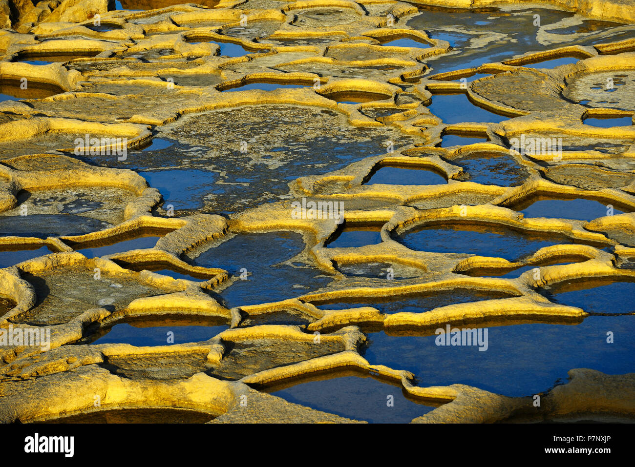 Gozo saline, Xwejni Bay, Gozo, Malta Foto Stock