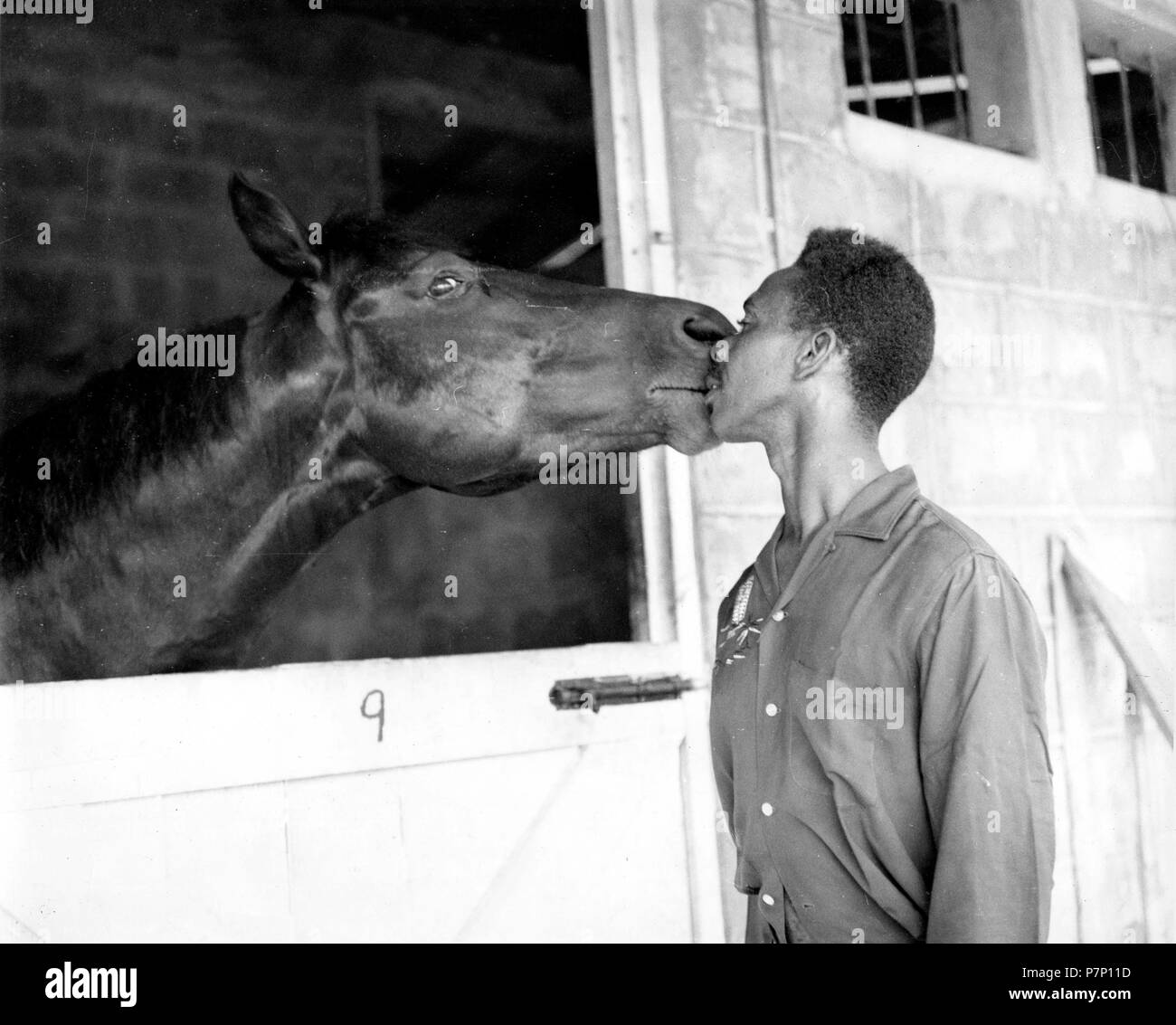 Uomo di baciare un cavallo, Città del Messico, Messico Foto Stock