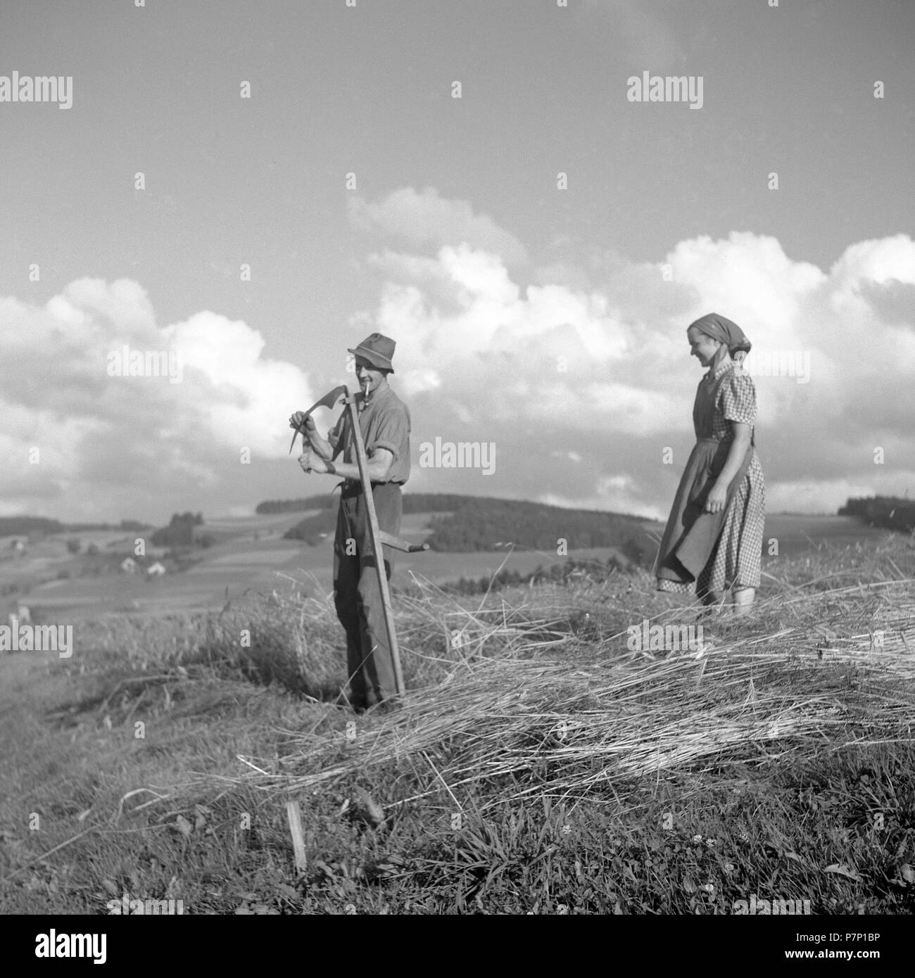 L uomo e la donna la raccolta di grano, da. 50's, vicino a Freiburg, Germania Foto Stock