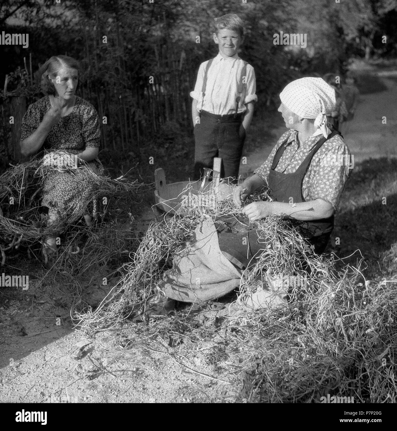 Agricoltrici, circa Da 1945 a 1955, area circostante di Freiburg, Germania Foto Stock
