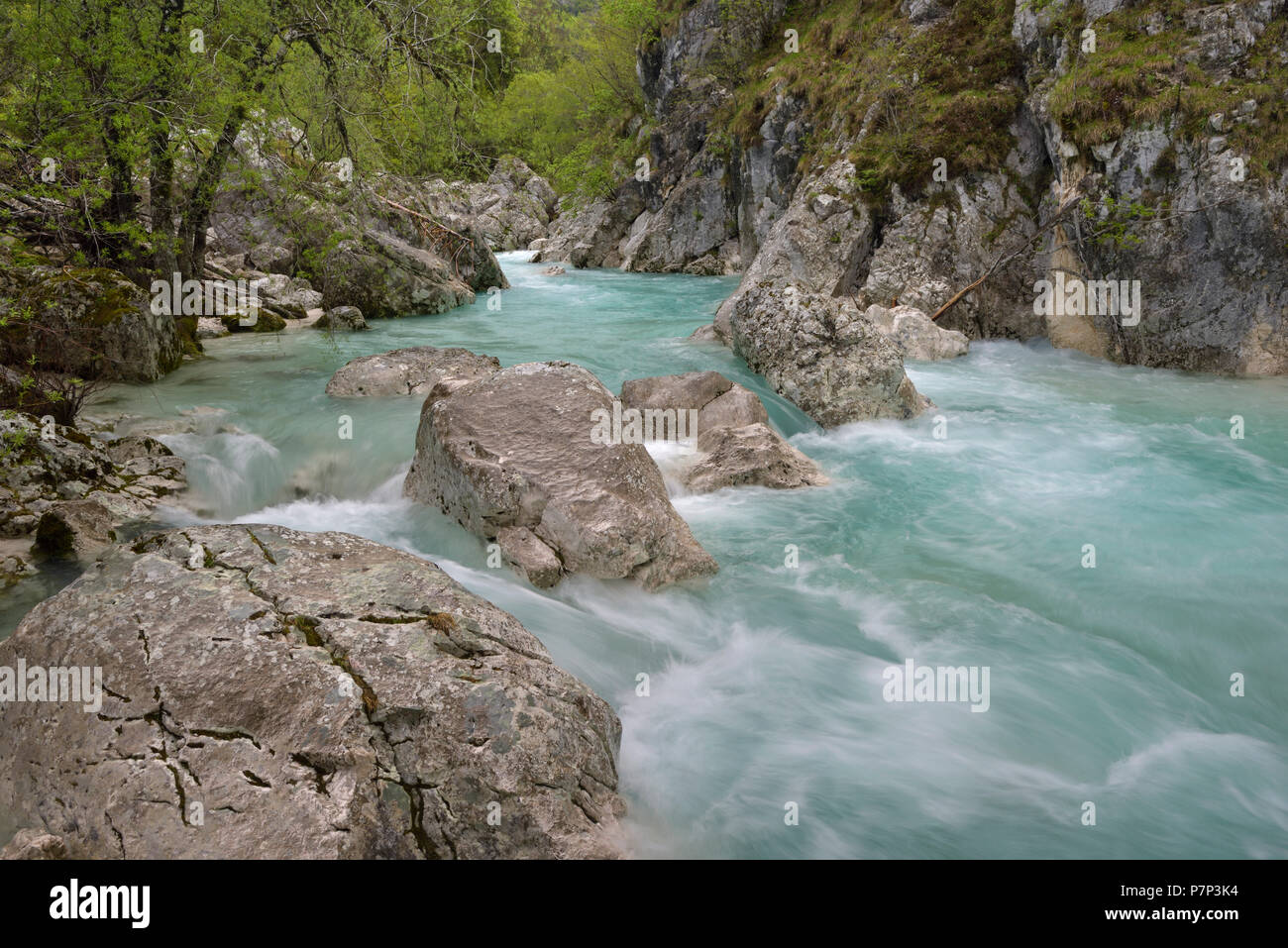 Rapide e le rocce nel selvaggio fiume Soča, Isonzo, sulle Alpi Giulie, Slovenia Foto Stock