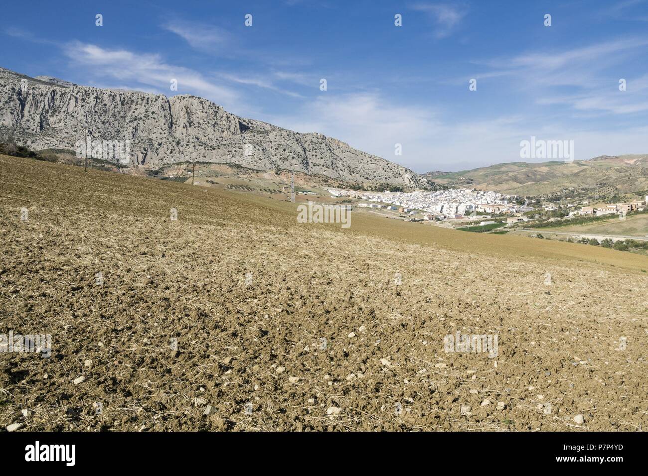 Il campo cerca de Antequera,Andalucia, Spagna. Foto Stock